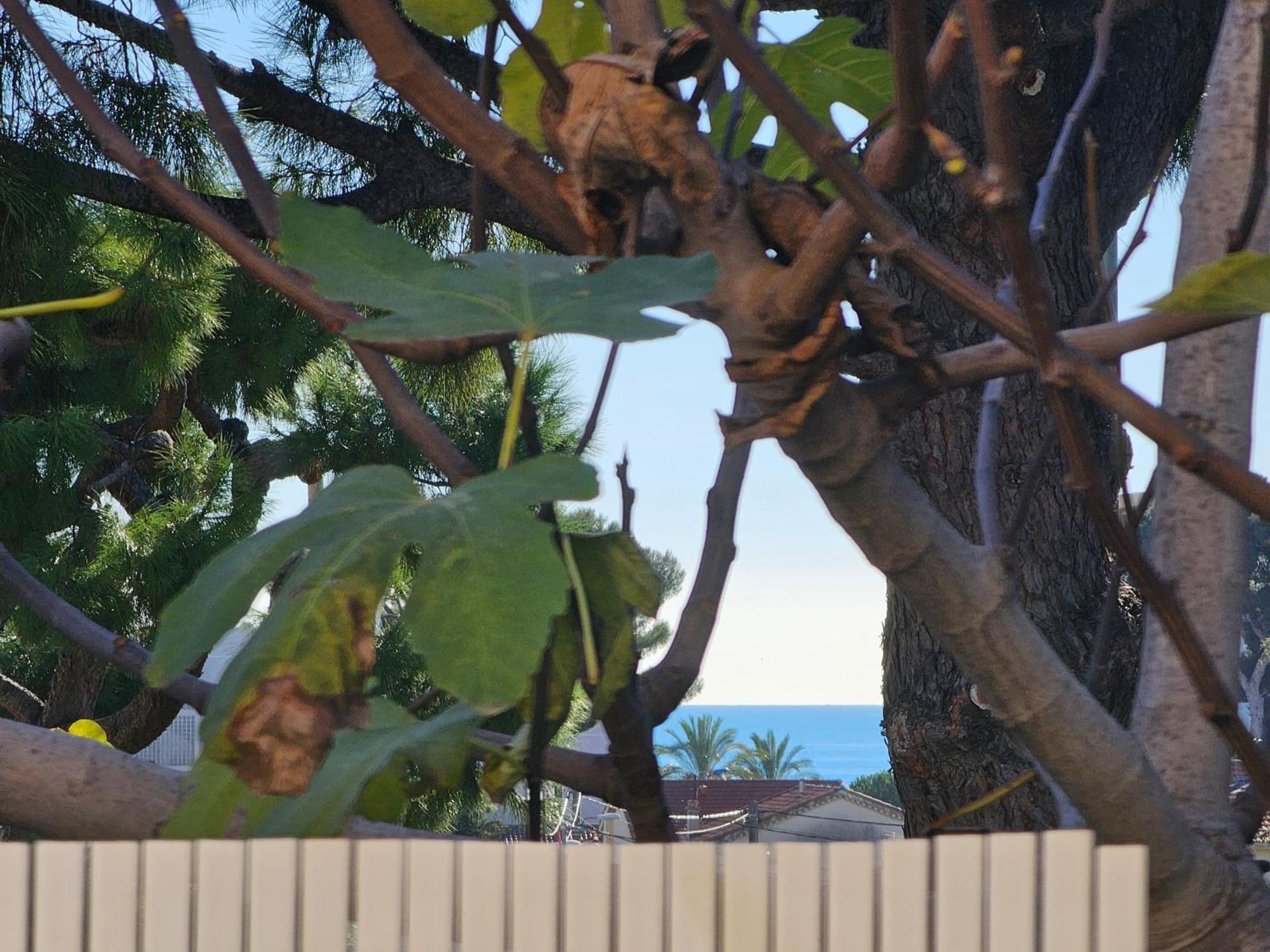 Apartment Detente Oceane S2 Proche De La Wifi Clim Cagnes-sur-Mer